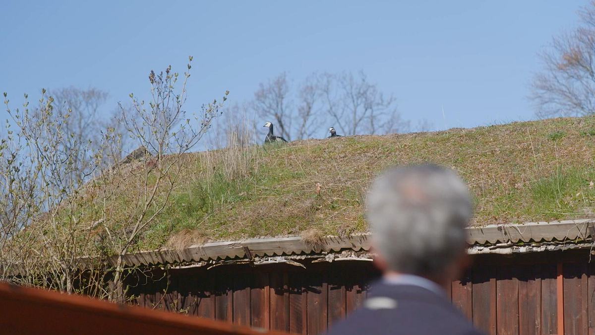 grand designs schweden: der weg zum traumhaus