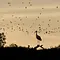 Natura Europa Thumbnail