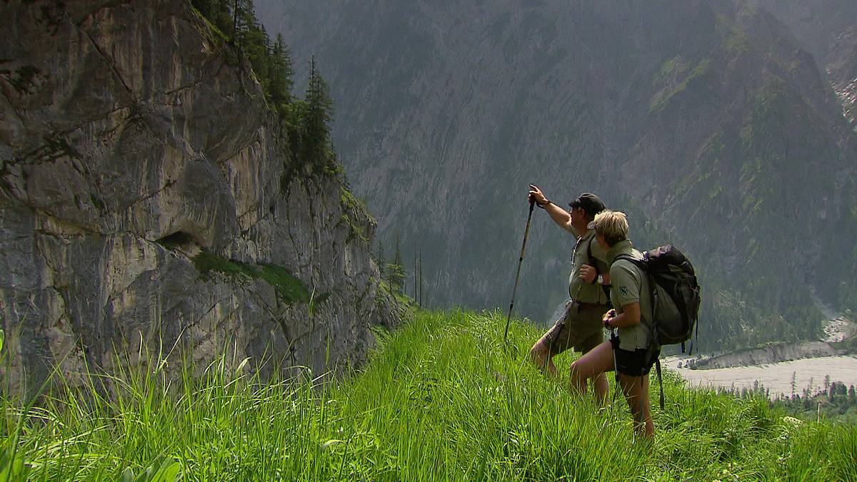 die alpenranger - auf patrouille im paradies
