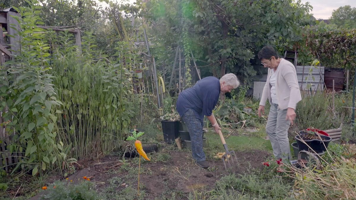 der schrebergarten - ein blick über den zaun