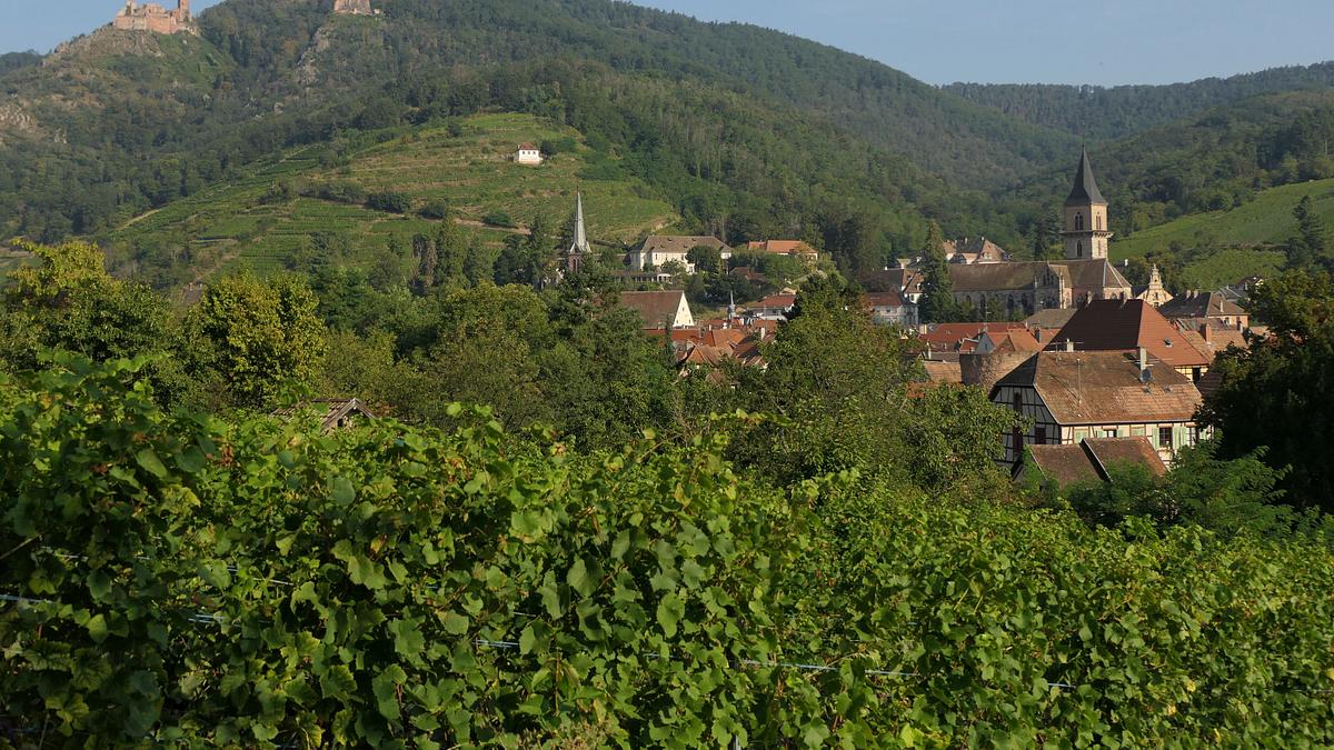 max i. joseph - vater des königreichs bayern