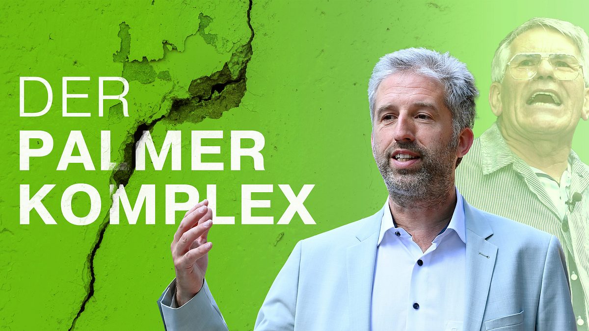 der palmer-komplex