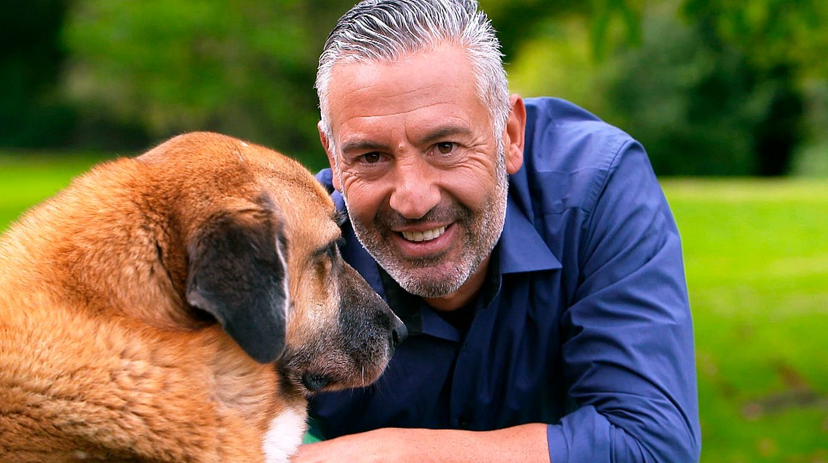 Hunde verstehen! hunde verstehen!