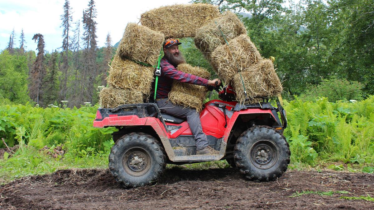 home rescue: eine ranch für die raneys