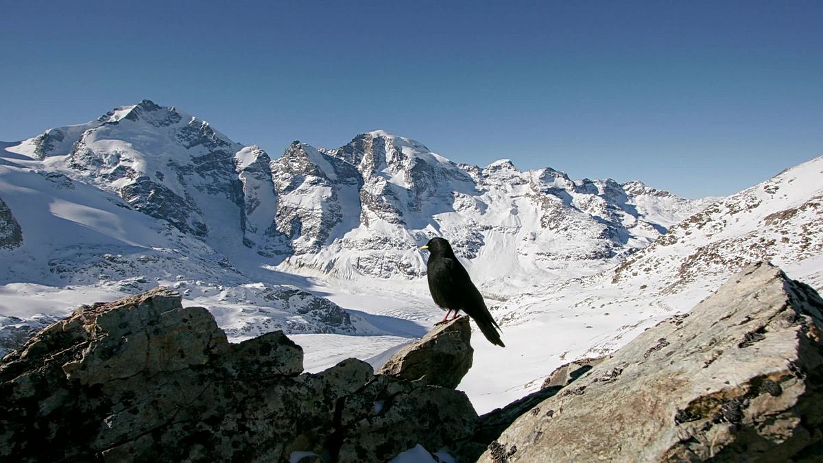 wunderwelt schweiz