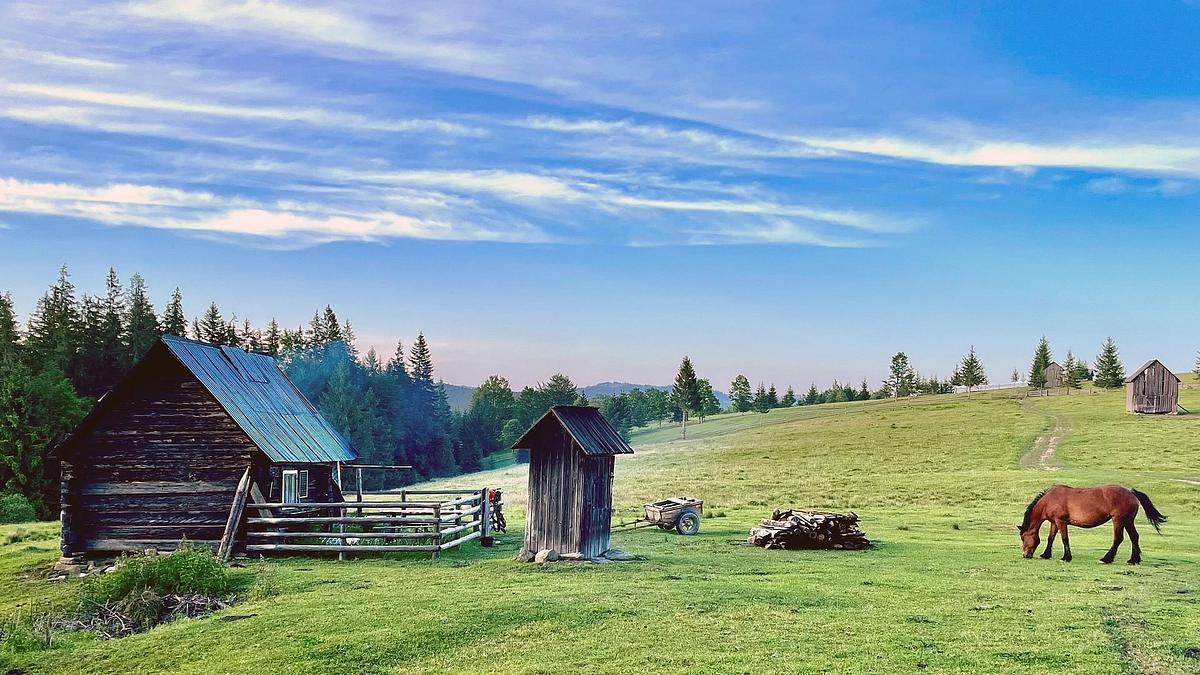 wildes rumänien - via transilvanica: bukowina und das hochland