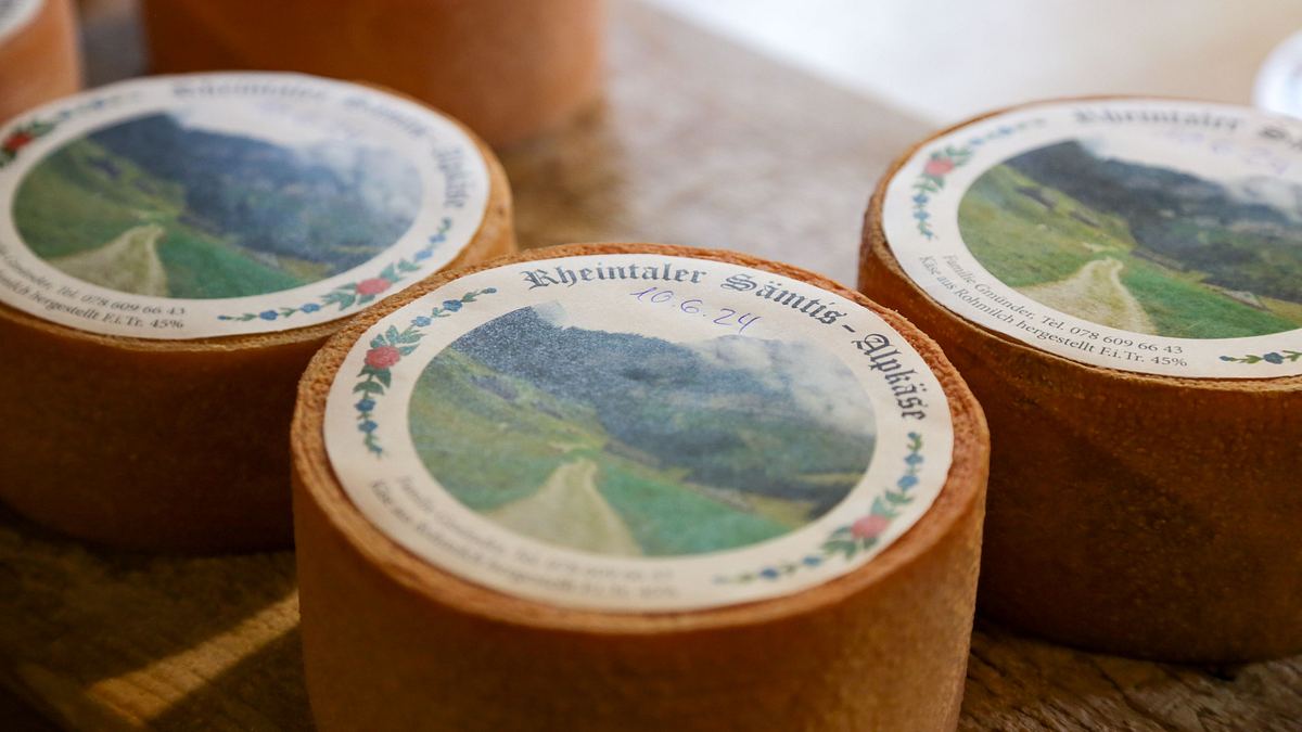 bergfreundinnen
