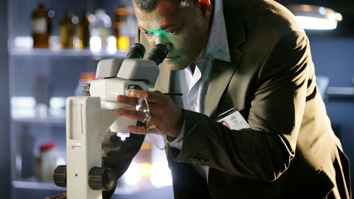csi: den tätern auf der spur