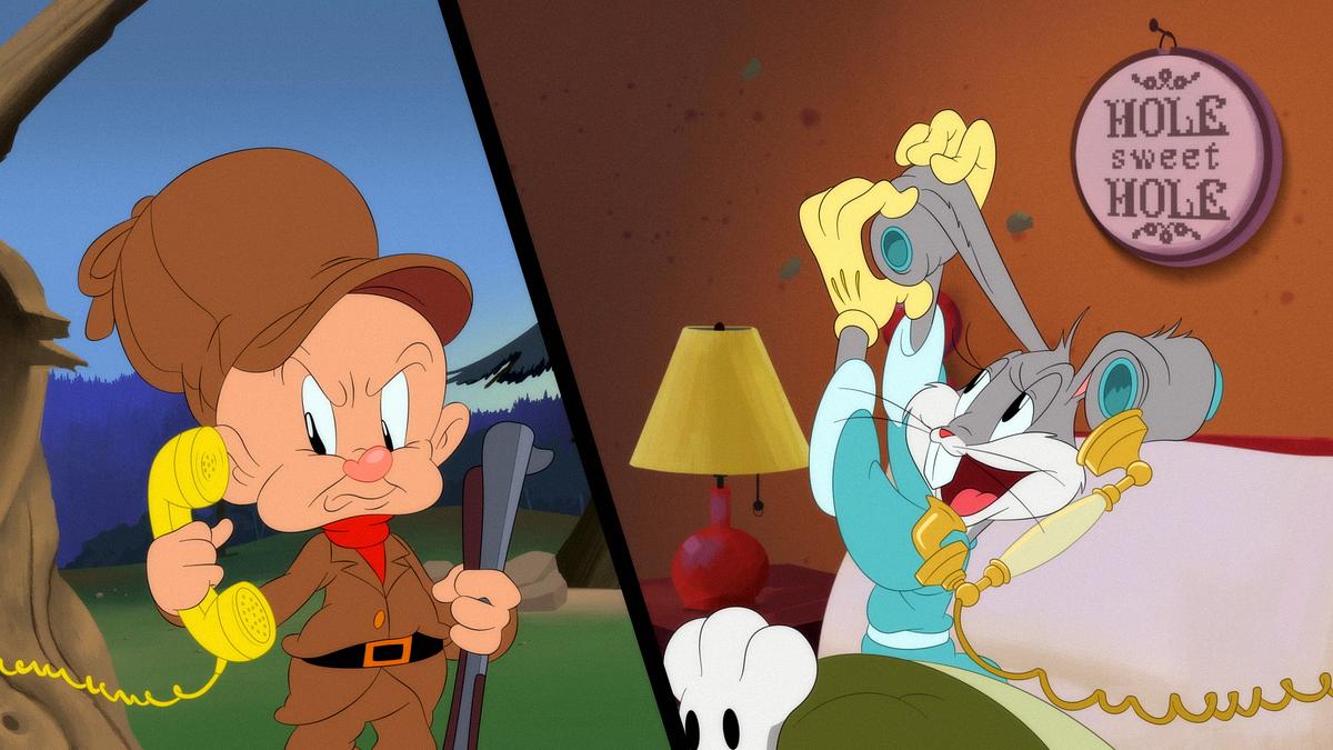 Looney Tunes Cartoons looney tunes cartoons