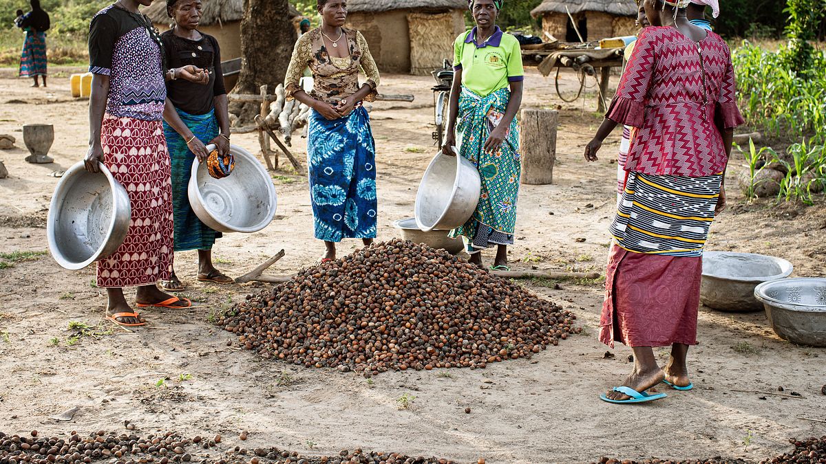 kadoua und die elefanten