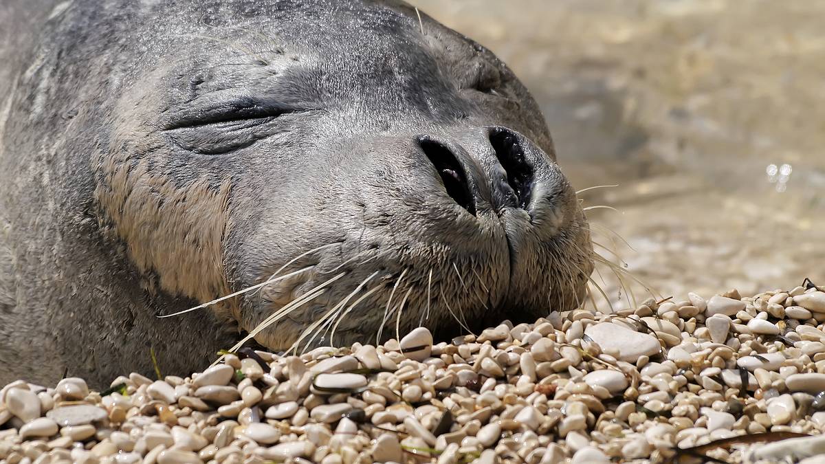 europas verborgene naturwunder