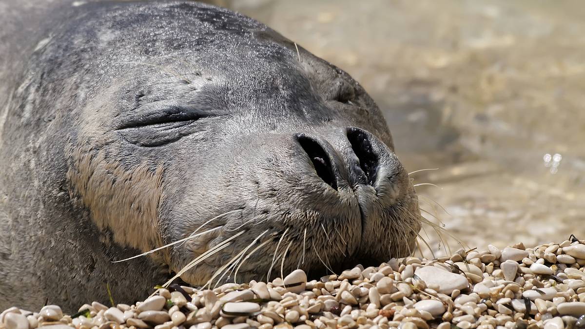 europas verborgene naturwunder