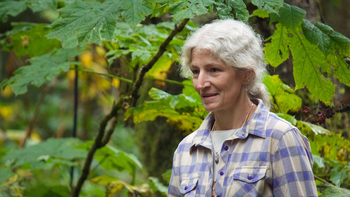 alaskan bush people
