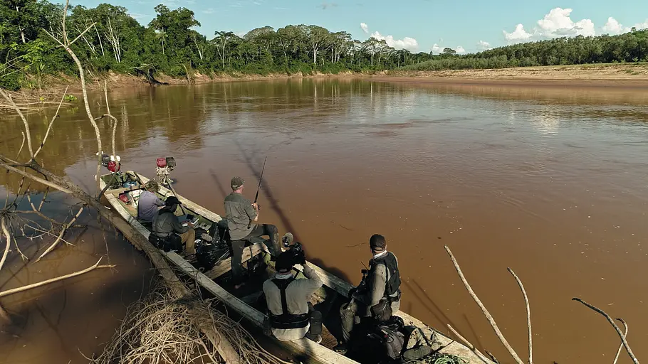giganten unter wasser - riesenfischen auf der spur