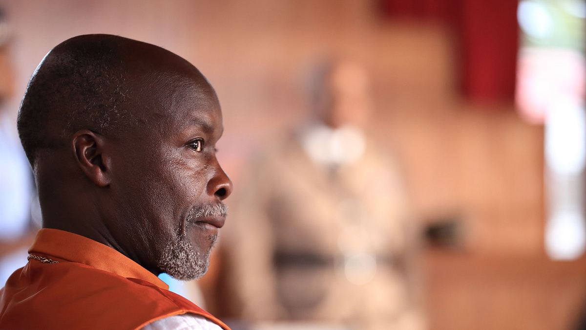 death in paradise