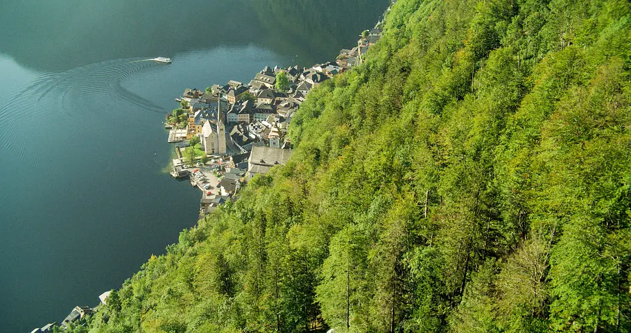 3satThementag: Österreich wild & schön 3satthementag: österreich wild & schön