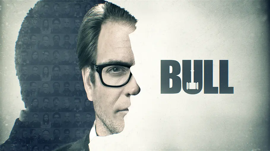 Bull bull
