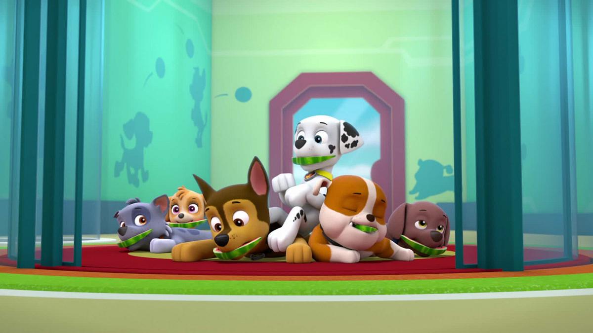 Paw Patrol - Helfer auf vier Pfoten paw patrol - helfer auf vier pfoten