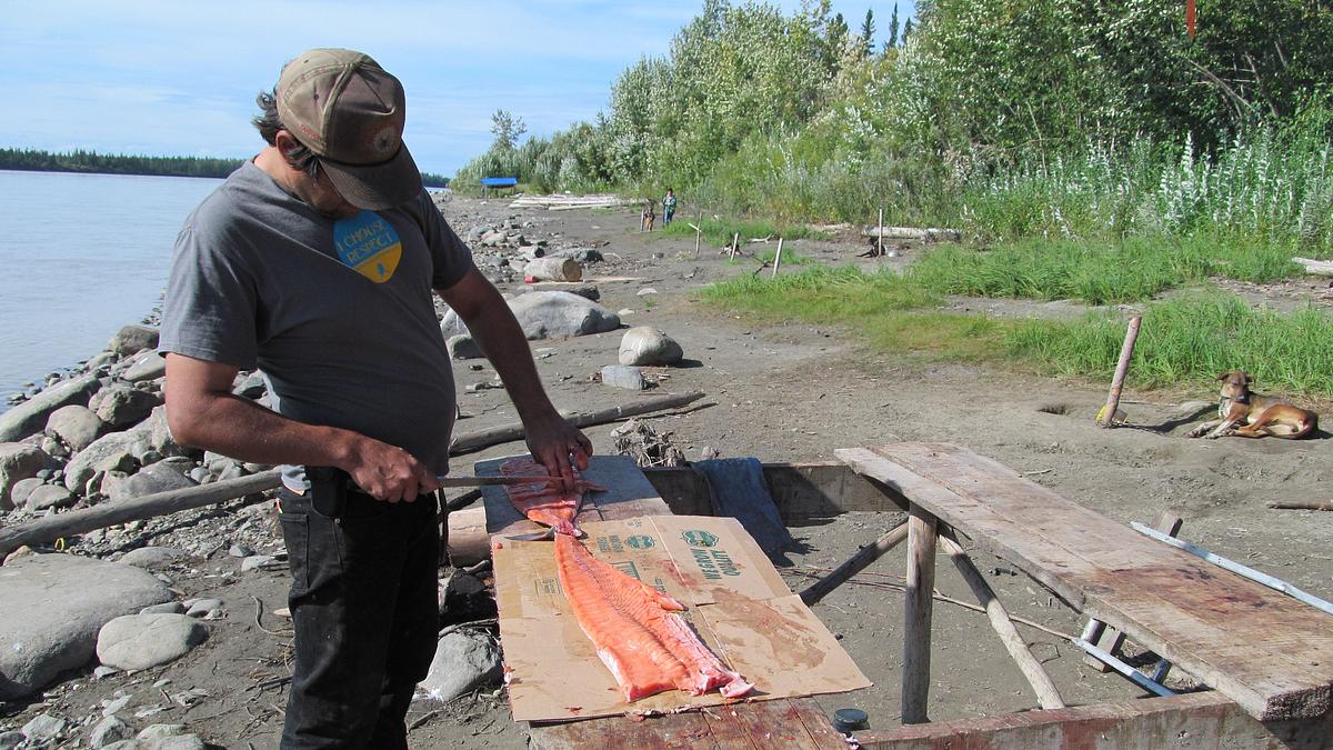 yukon men