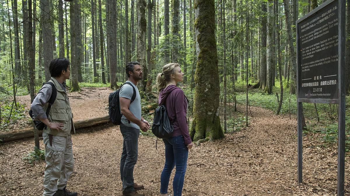 the forest - verlass nie den weg