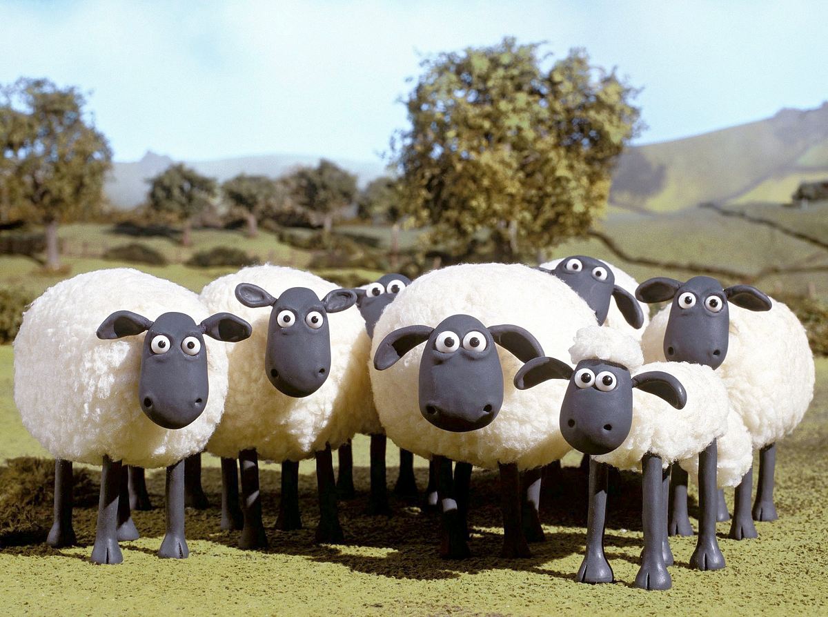 shaun das schaf