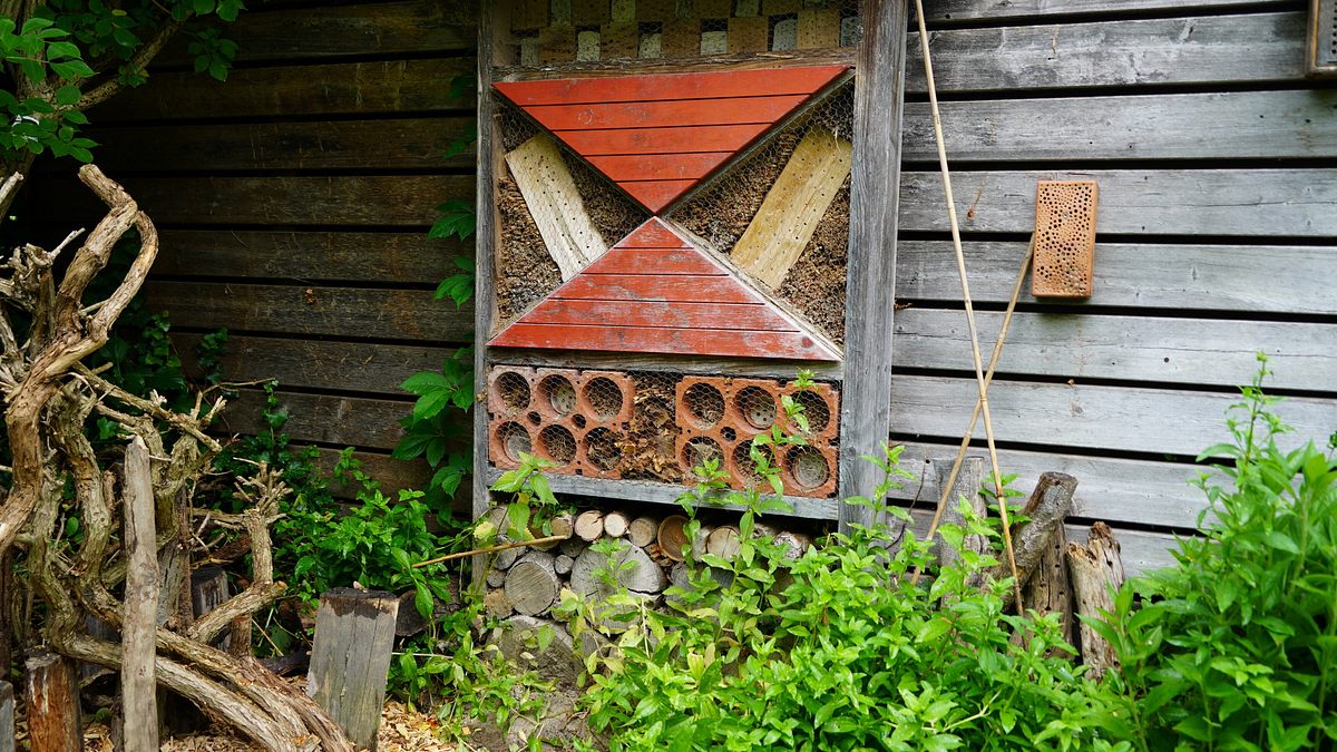 natur im garten