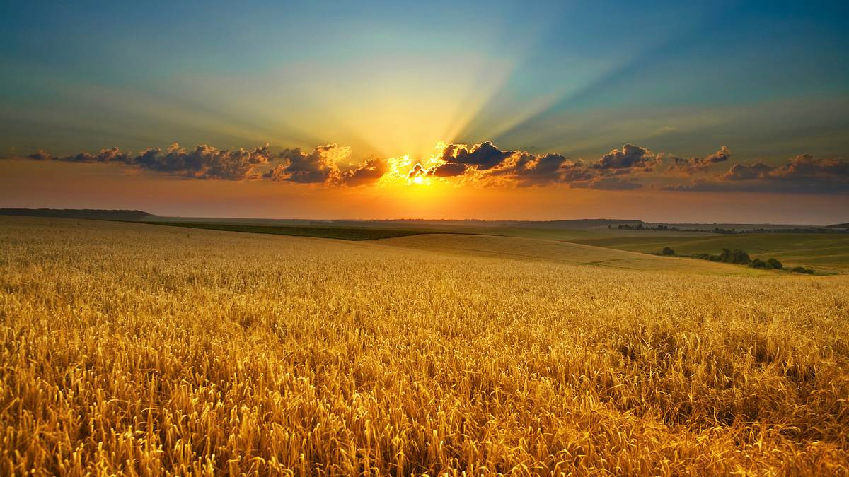 sommerwelten