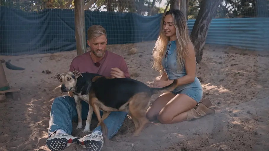 Nadja und Sebastian Sebastian und Nadja sitzen gemeinsam im Sand eines Tierheims und streicheln zwei Hunde, die neugierig um sie herumlaufen.