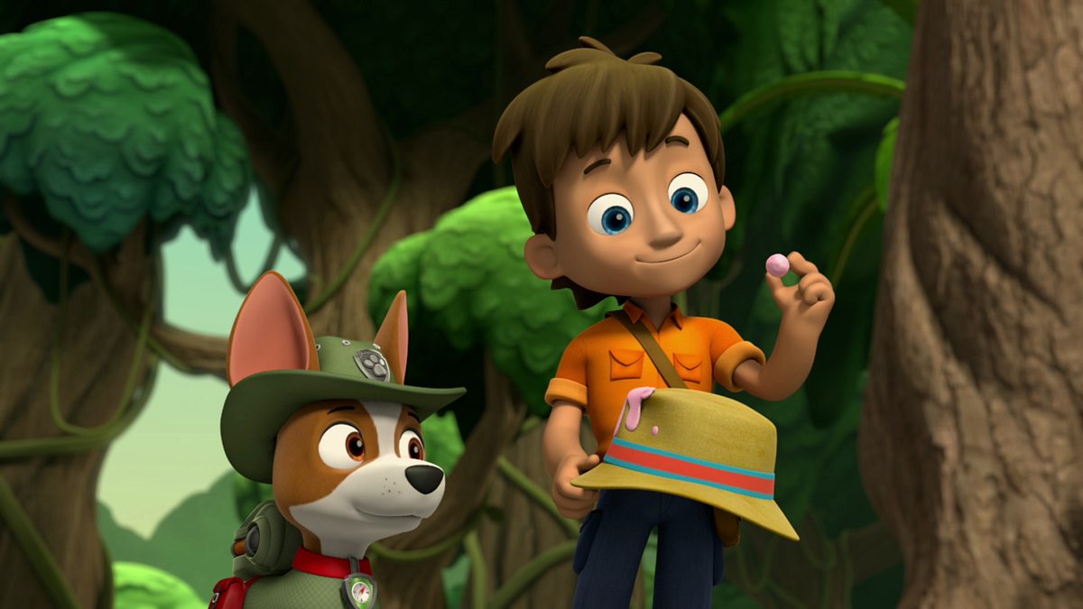 paw patrol - helfer auf vier pfoten