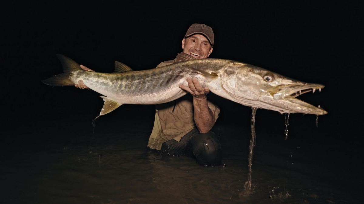 giganten unter wasser - riesenfischen auf der spur