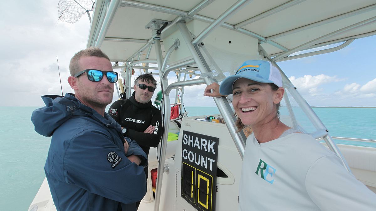 sharks of ghost island - haie im bermudadreieck