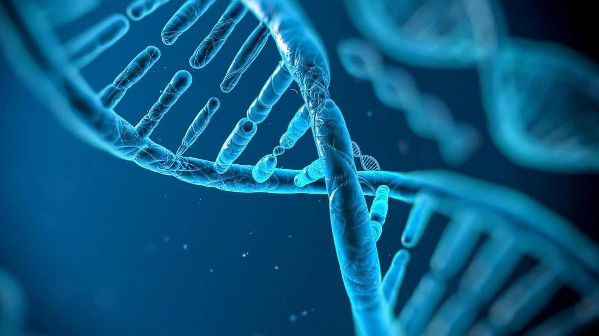 Das Geheimnis der Gene