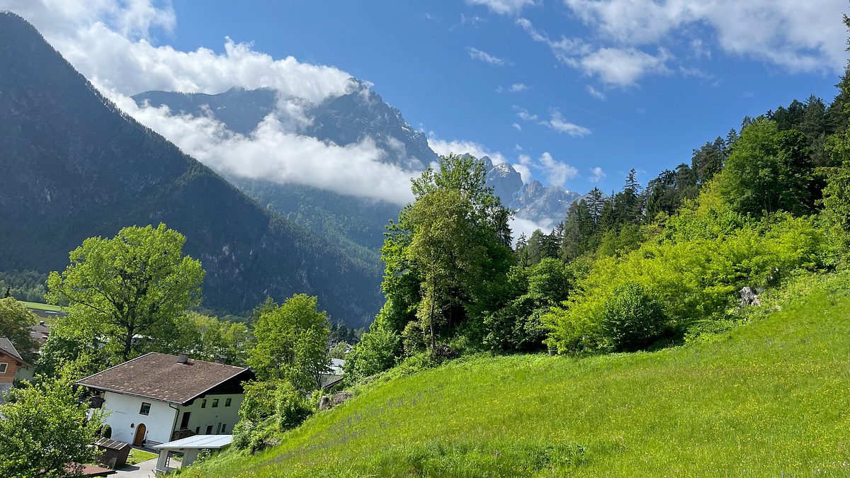 zurück zur natur