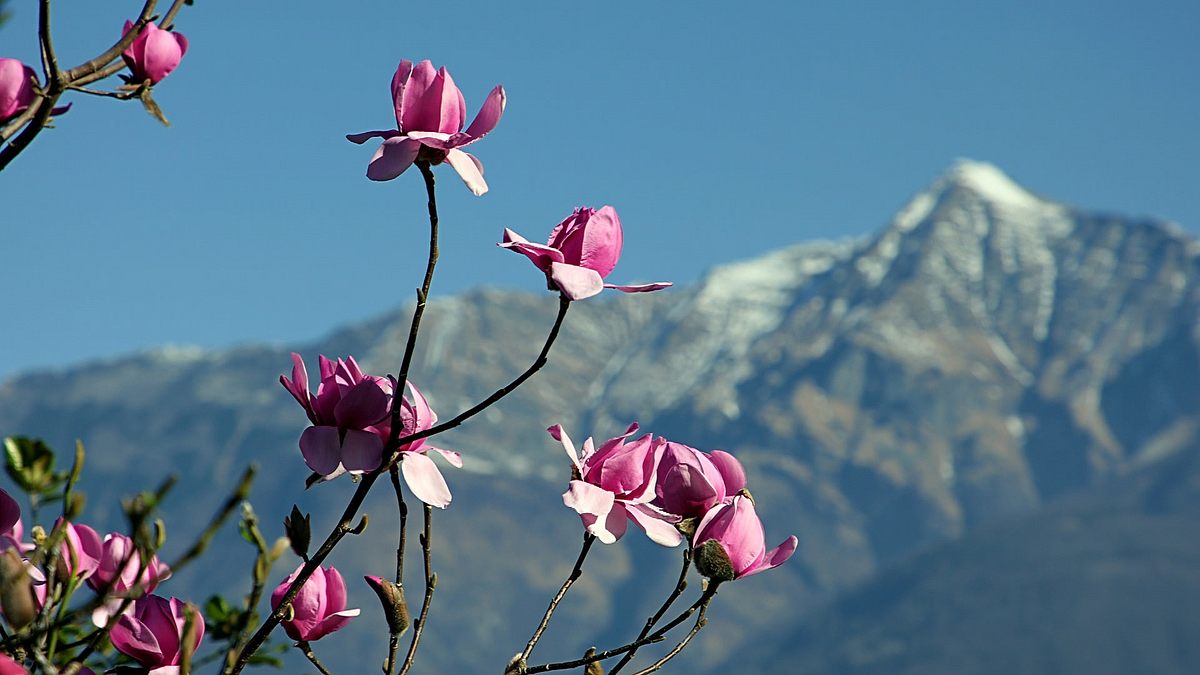 Wunderwelt Schweiz wunderwelt schweiz