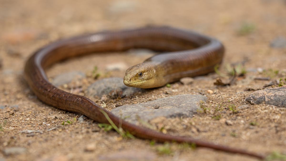 abenteuer wildnis