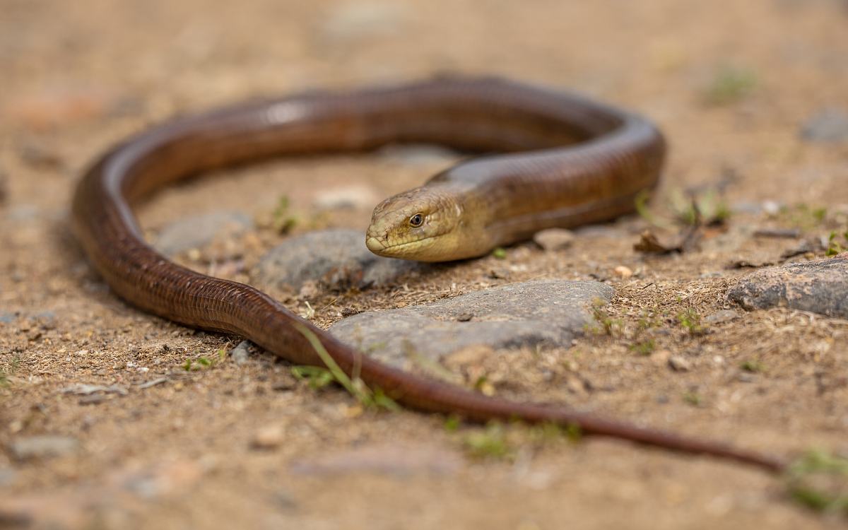 abenteuer wildnis
