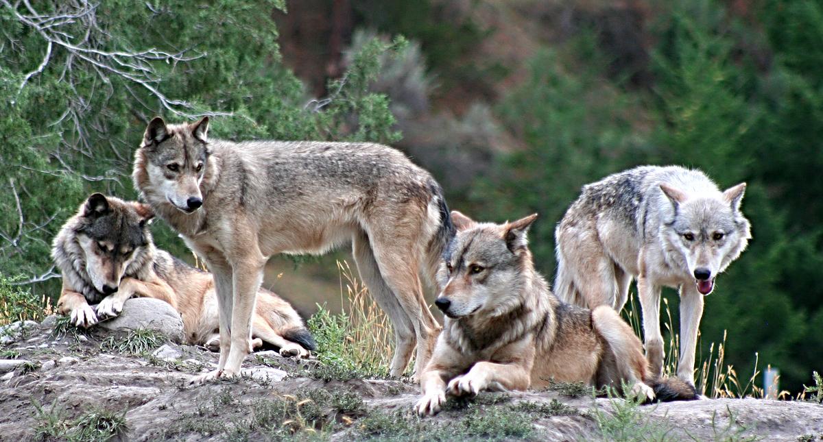 Abenteuer Wildnis abenteuer wildnis