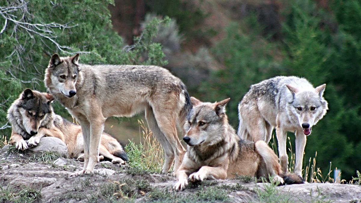 abenteuer wildnis