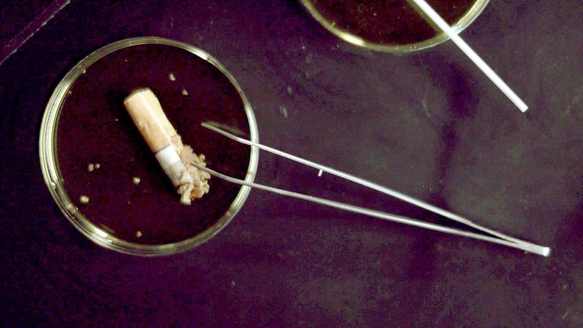 Cold Case Files - Beweismittel DNA cold case files - beweismittel dna