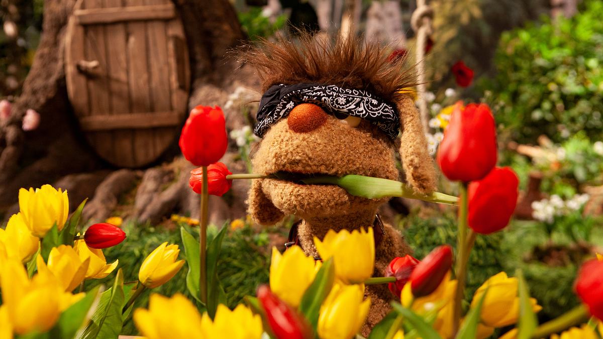 unser sandmännchen