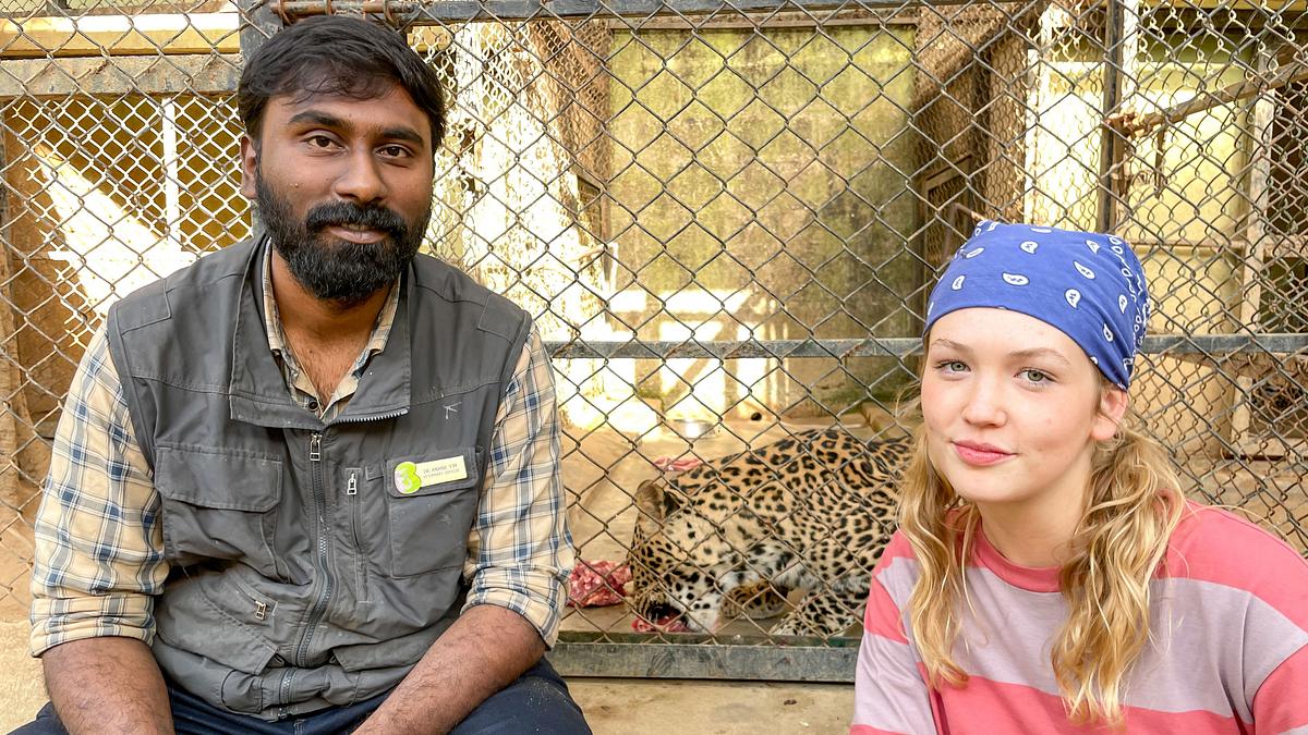 nina und die wilden tiere