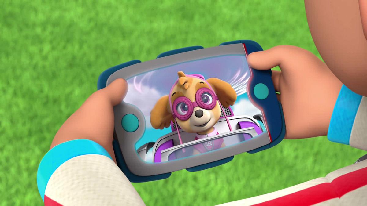 paw patrol - helfer auf vier pfoten