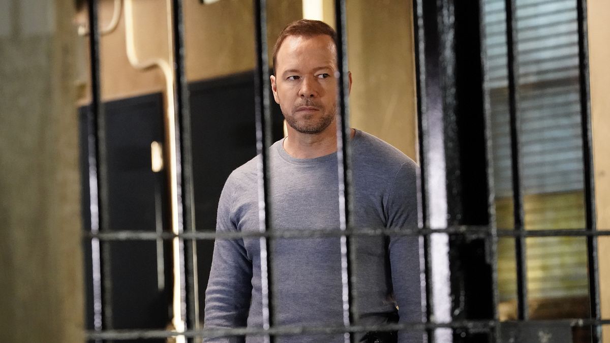 blue bloods - crime scene new york