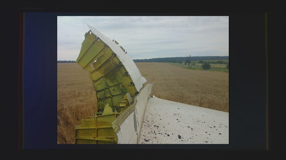mord am himmel: wer hat flug mh17 abgeschossen?