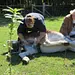 Der unglaubliche Dr. Pol Thumbnail