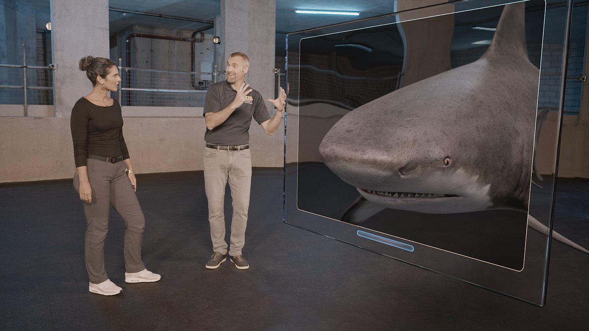 hai-attacken 360°