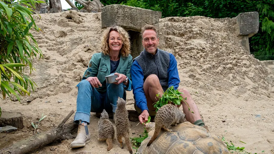 animal park: zoo-geschichten aus longleat