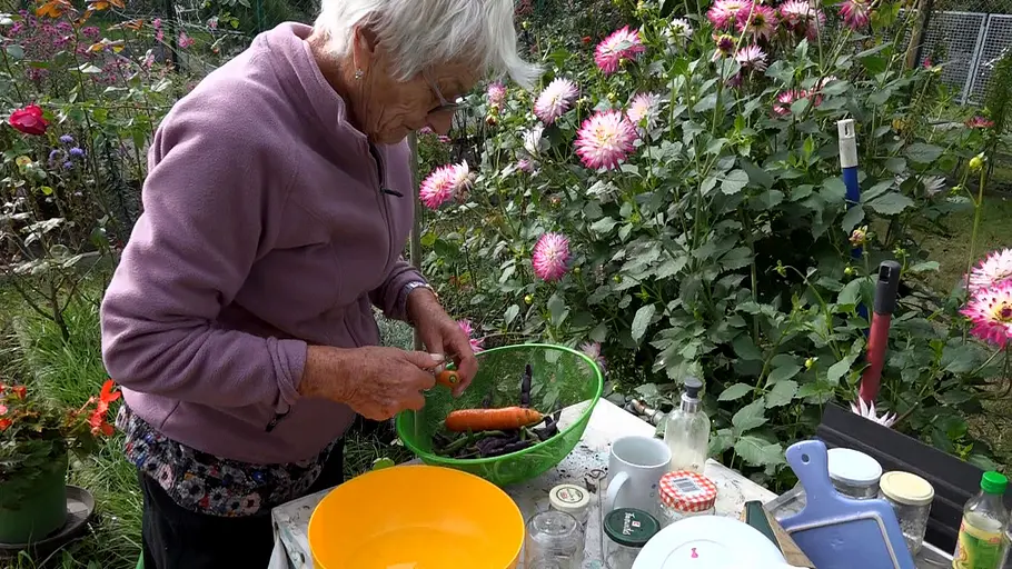 Von Hecke zu Hecke - Bunte Beetgeschichten von hecke zu hecke - bunte beetgeschichten