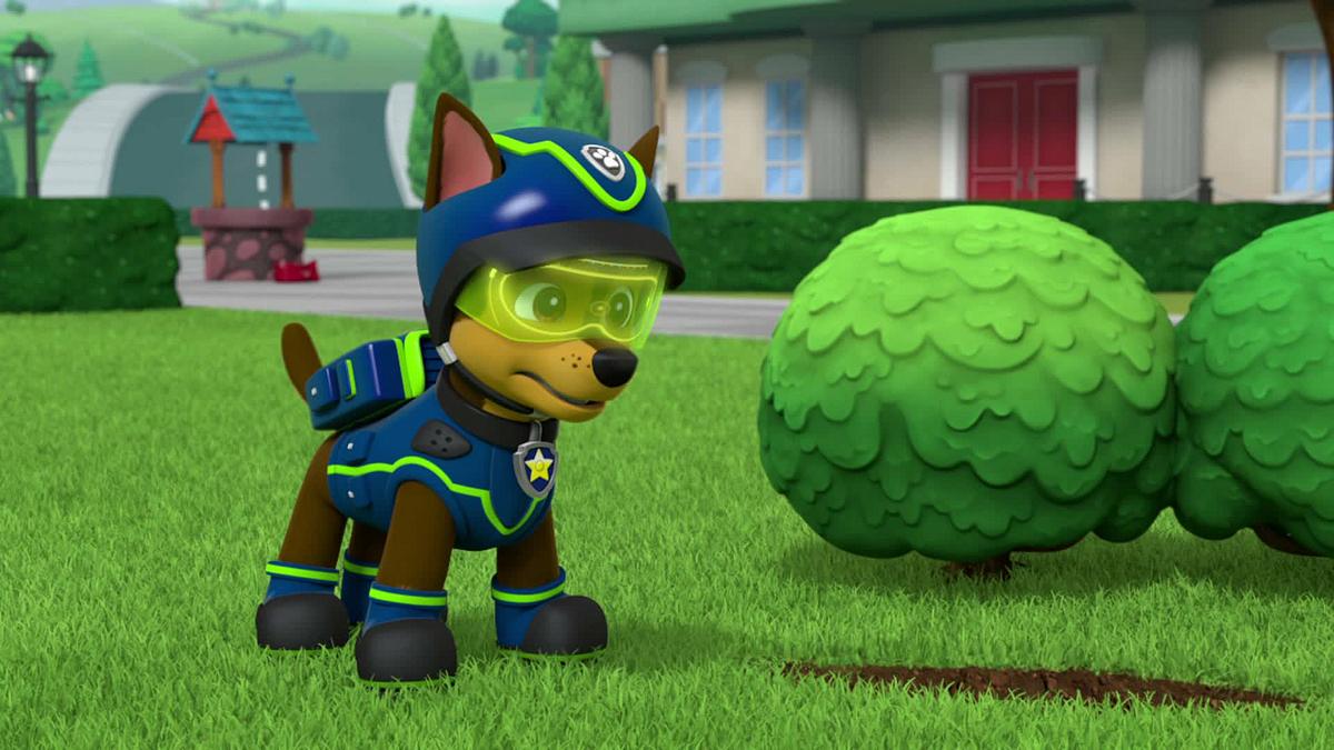 paw patrol - helfer auf vier pfoten
