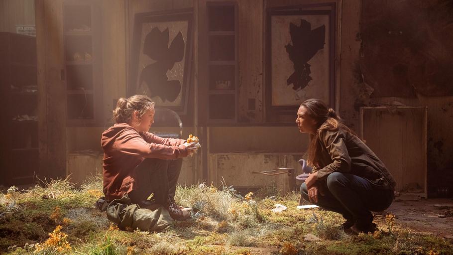 the last of us